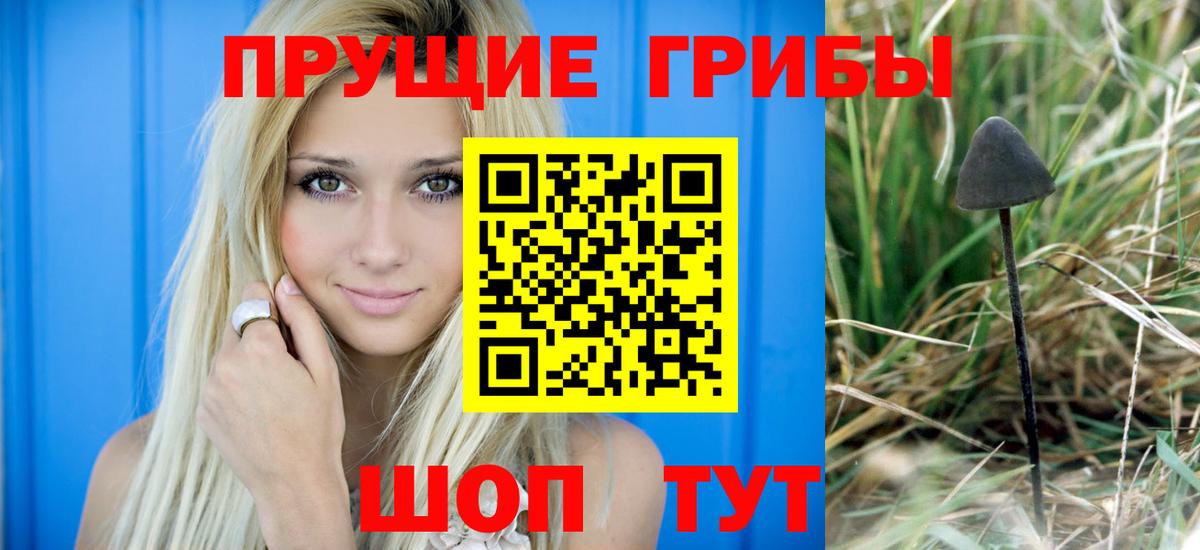 Псилоцибиновые грибы мицелий Северобайкальск